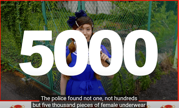 Japan’s Most Stolen Items: Panties, Bicycles, and Toyota Alphards—A Crime Wave of Unusual Proportions